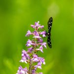 Slike-sa-snimanja-Ivanec-no-logo-5