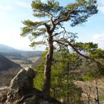 Vrazji-stolcek_BJD-3-1068×801-1