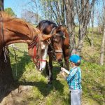 Arhiv-Explore-Croatia