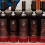 DalVinIko_VA_Vinari-1