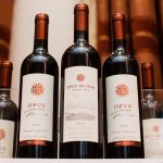 DalVinIko_VA_Vinari-19