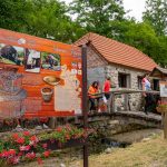 Friscicev_mlin_Pointers-produkcija