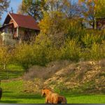 NA-MALENOM-BRIJEGU-3-1