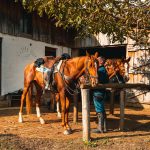 TZBB-Bilogorska-konjicka-staza-115