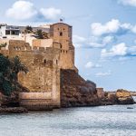 pexels-jean-marc-bonnel-19081226