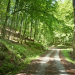 001-Moslavacka-g-pan