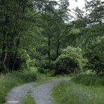 005-Bilogora-pan-19.05.02018