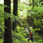 11R0220-Sredisnja-Hrvatska-sume-treking