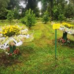 Ivancice-u-gradskom-parku_BJD