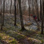 Hiking na Papuku_Foto Mario Ripli, izvor TZ VPŽ (1)