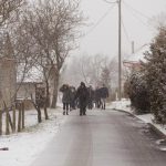 mini_DSC01477