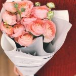 pexels-secret-garden-931176