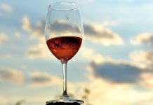 4. Zalazak u vinogradu u Brodskom Stupniku uz jazz Lela Kaplowitz quinteta