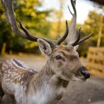 Around Plitvice – Rančevi, špilje, adrenalinska iskustva i fina hrana