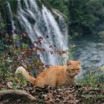 Slunj – Rastoke: Odmori dušu, pokreni tijelo, pronađi inspiraciju za novi početak