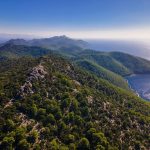 mljet