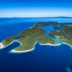 np-mljet (1)