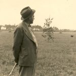 sk-section-31-a-original