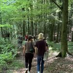 varazdinska-zupanija-12