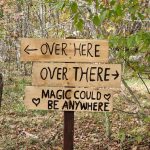 Grabovača MARIO PARAL (1)