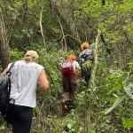 Planinarenje organizirano u Centru