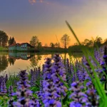 tzbbz-rotator-izleti-001