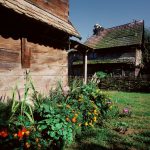 006-cigoc-1014×1024