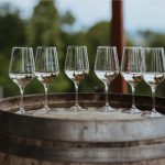 Hrvoje Božičević 3