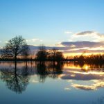 Lonjsko-polje-2-tzg-Kutina