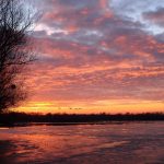 Lonjsko-polje-foto-TZG-Kutina