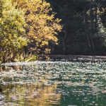 zasticeni-krajobraz-cover-scaled-1-1024×350