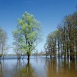 0002-park-pr-lonjsko-polje-628×420