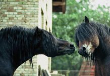 U srcu ove zime istražite najljepše krajolike i krenite na izlet koji odmara i puni baterije u Sisačko – moslavačkoj županiji