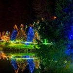 130189341_3616416355063474_8518651847638414300_n