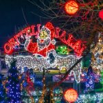 81038205_2719585451413240_1251673797858164736_n