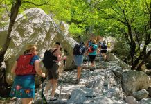 Priroda, pokret i žensko zajedništvo: projekt koji je okupio žene diljem Hrvatske