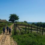 2-camino banovina dan2000248