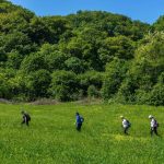 2-camino banovina dan2000272