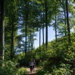 2-camino banovina dan2000278