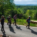 4-camino banovina dan 400386