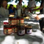 4-camino banovina dan 400398