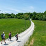 4-camino banovina dan 400436