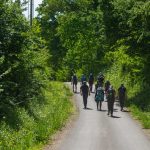 4-camino banovina dan 400474