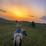 IMG-20210714-WA0000-1152×1536