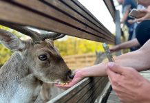 Mjesto gdje ćete poželjeti ostati duže: Ranch Dolina Jelena