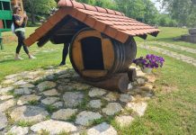 U POSJETU OPG BRONZE BEE – UDAHNITE ZDRAVLJE IZ KOŠNICE