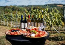 Vinarija Coner – diskretan glamour s vinskih brežuljaka