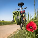 didgeman-to-go-biking-5178398 (1)