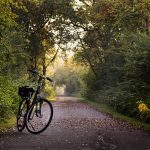 pamjpat-bike-2769021