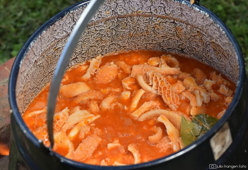 fileki